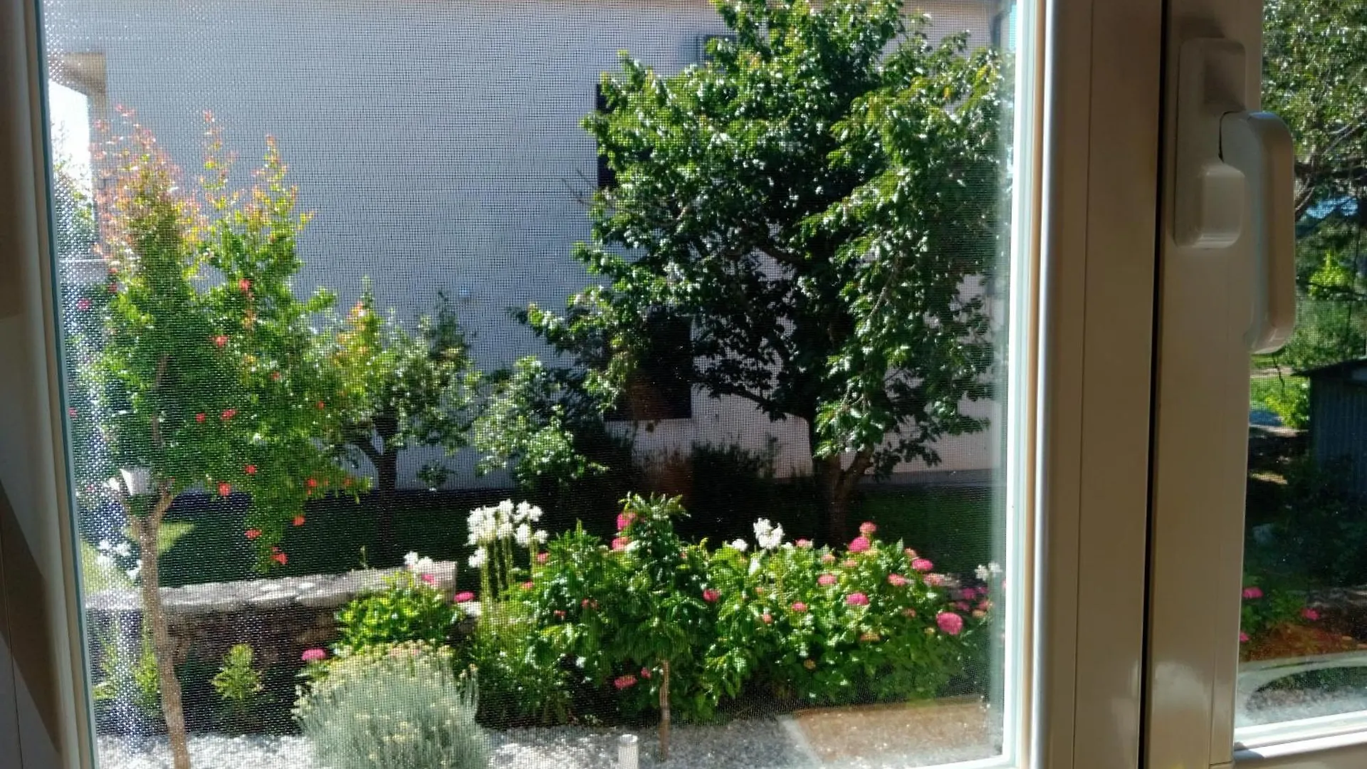 Guest house Apartments And Room Markovic Rovinjsko Selo